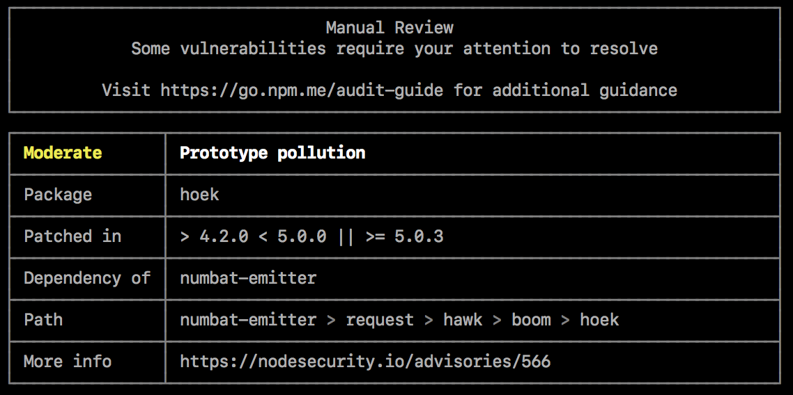 npm audit